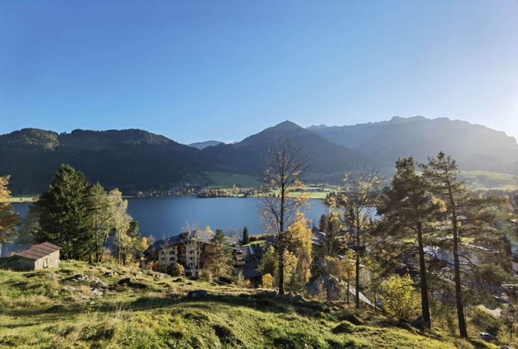 Schöne Seen in der Nähe - der Walchsee im Abendlicht, hinten das Kaisergebirge